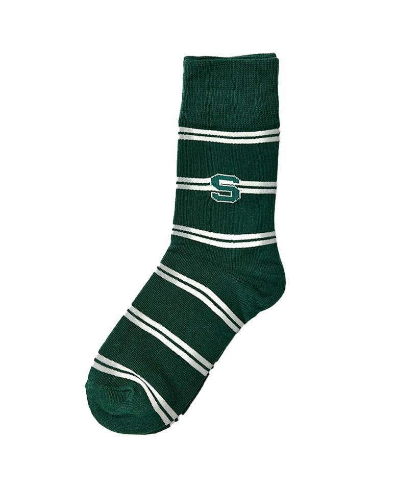 Slytherin sock