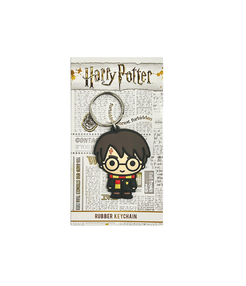 Harry Potter Resin Keychain