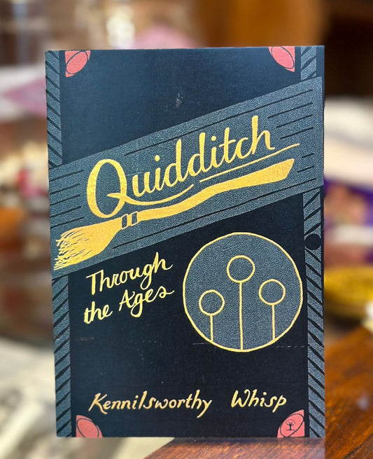 Quidditch Postcard