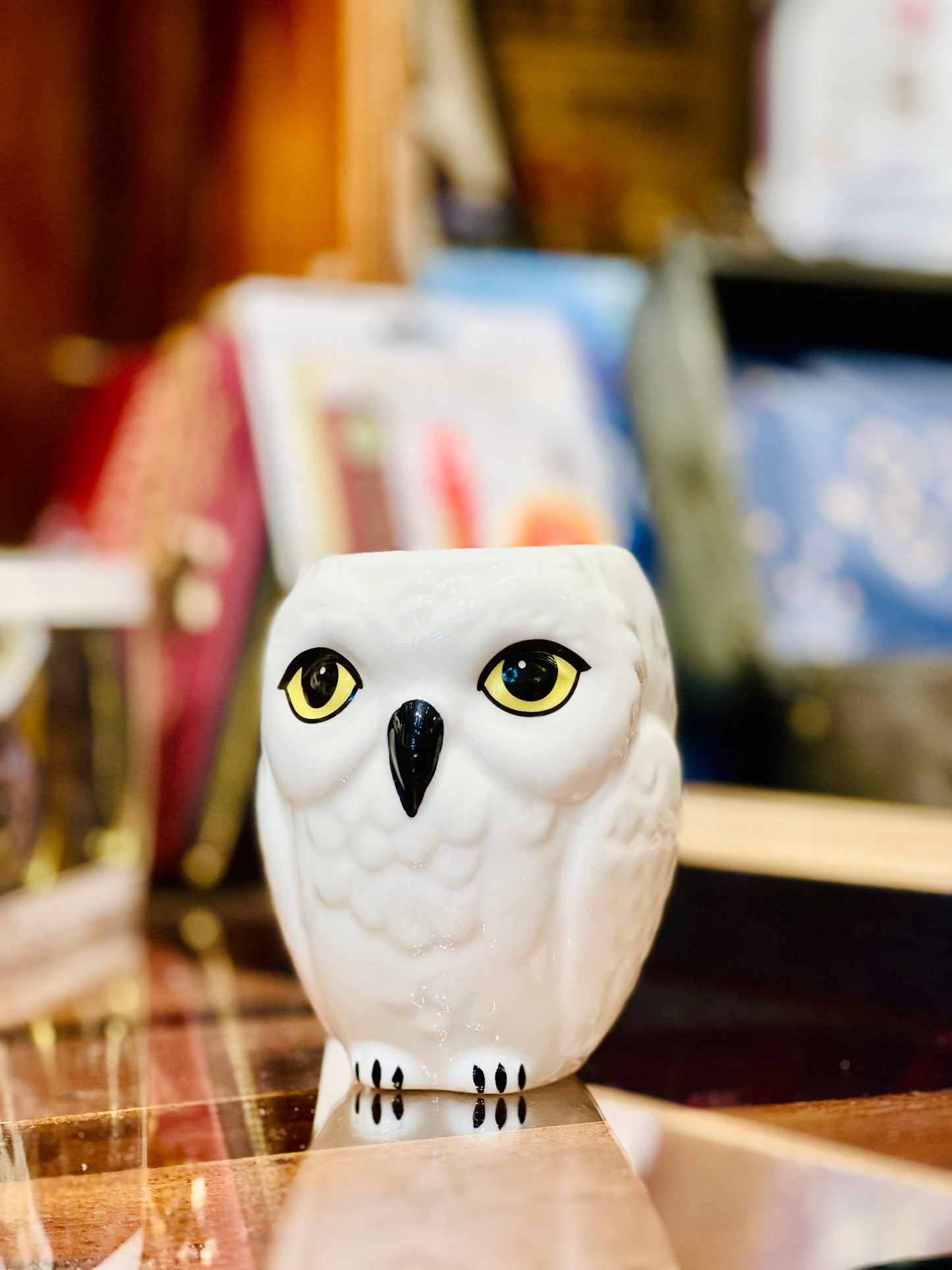 Hedwig's Ceramic Mug With A Box