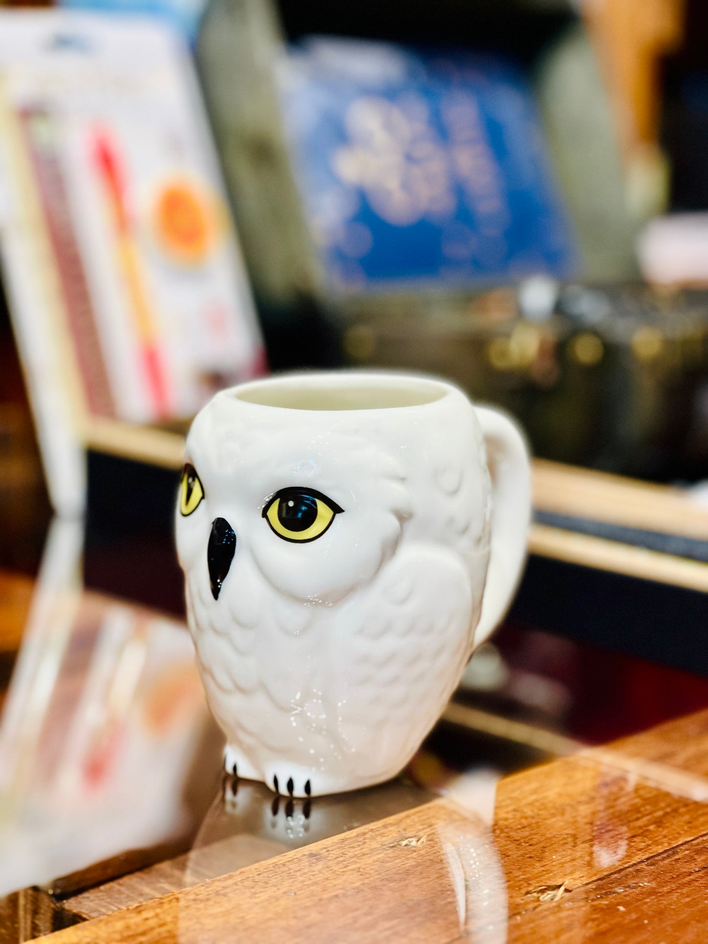 Hedwig's Ceramic Mug With A Box