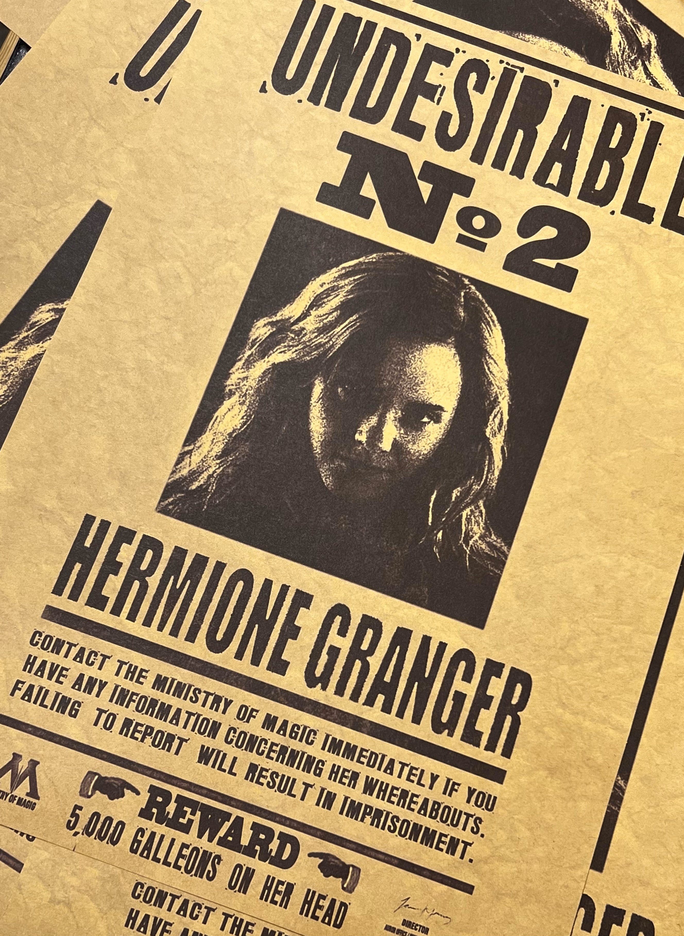 Poster The Unwanted Face 2: Hermione Granger