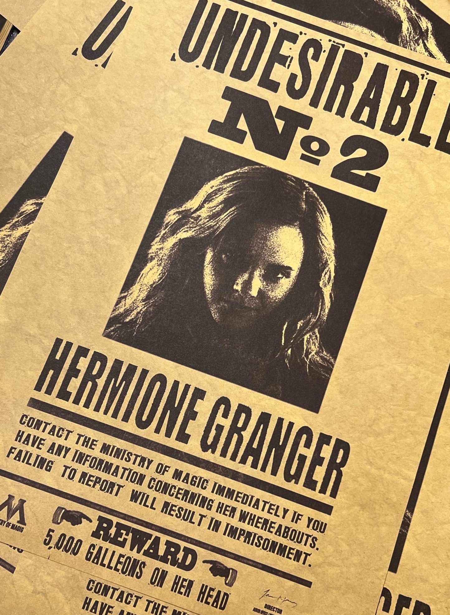Poster Unwanted Face 2: Hermione Granger